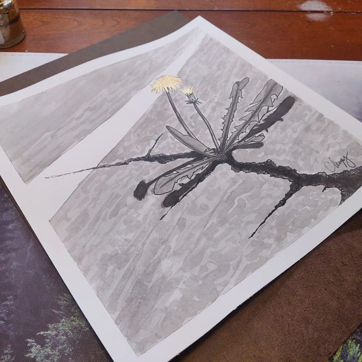 Dandelion - Original Drawing product image (1)
