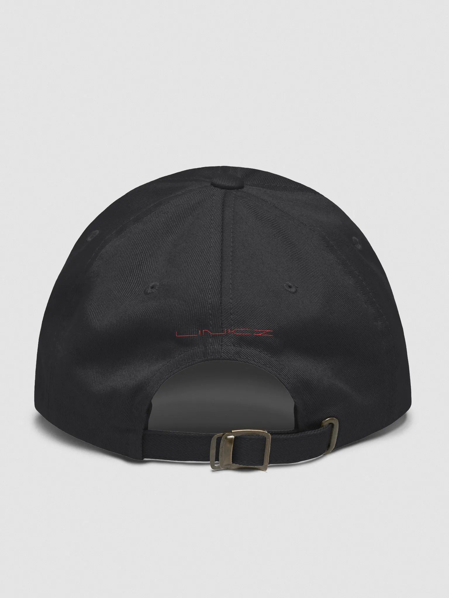 Linkz Logo Embroidered Hat product image (2)
