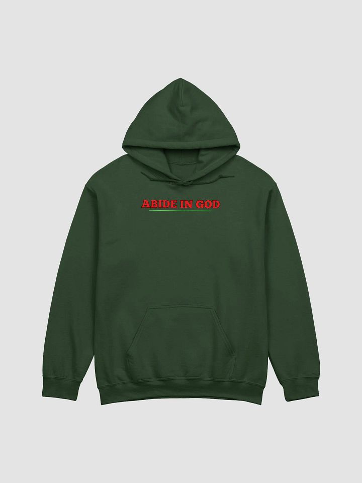 Abide in GOD product image (1)