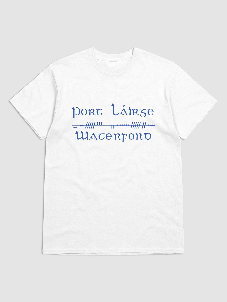 Waterford/Port Láirge Scholastic style Ogham, White Printed T-shirt product image (1)
