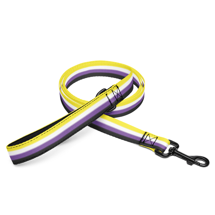 Non-binary Pride Flag Pet Leash product image (1)