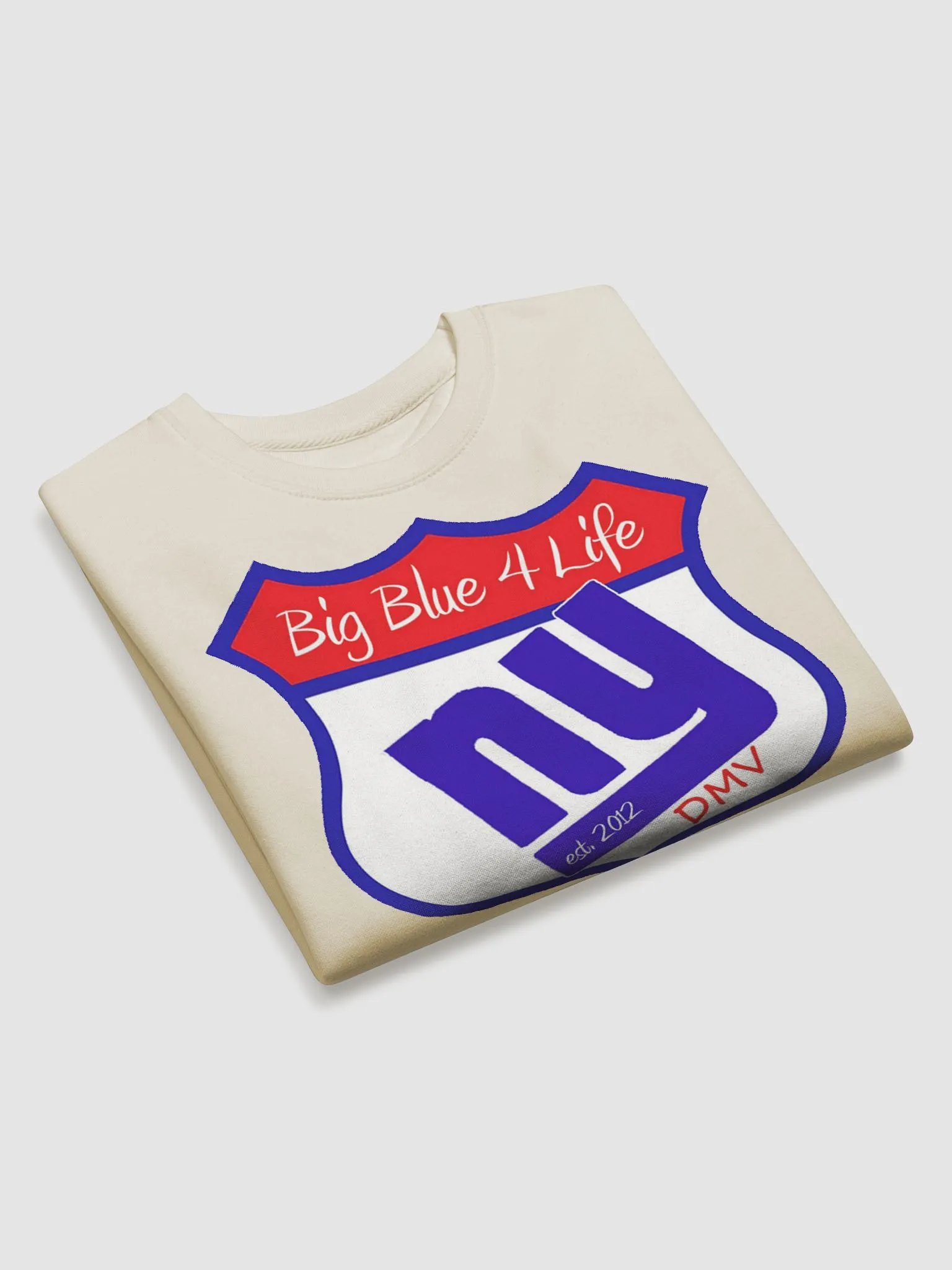 BB4L Main Sweatshirt product image (27)