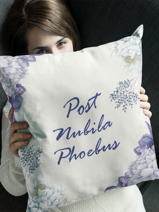 Post Nubila Phoebus Pillow product image (2)