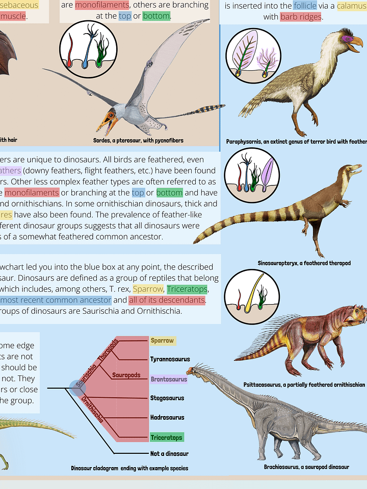 The Time Traveler's Guide To Dinosaur Identification product image (2)