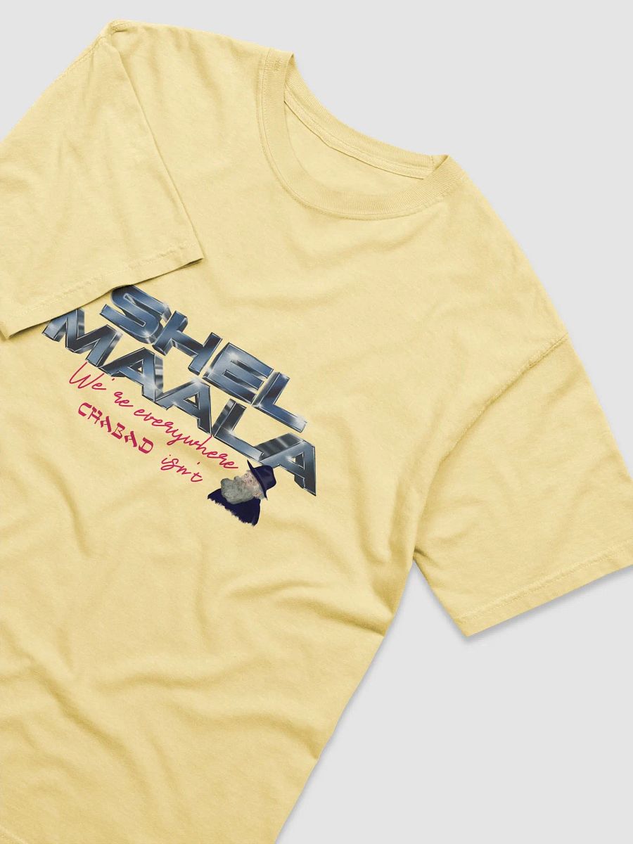 We're Everywhere Chabad Isn't Tee product image (83)