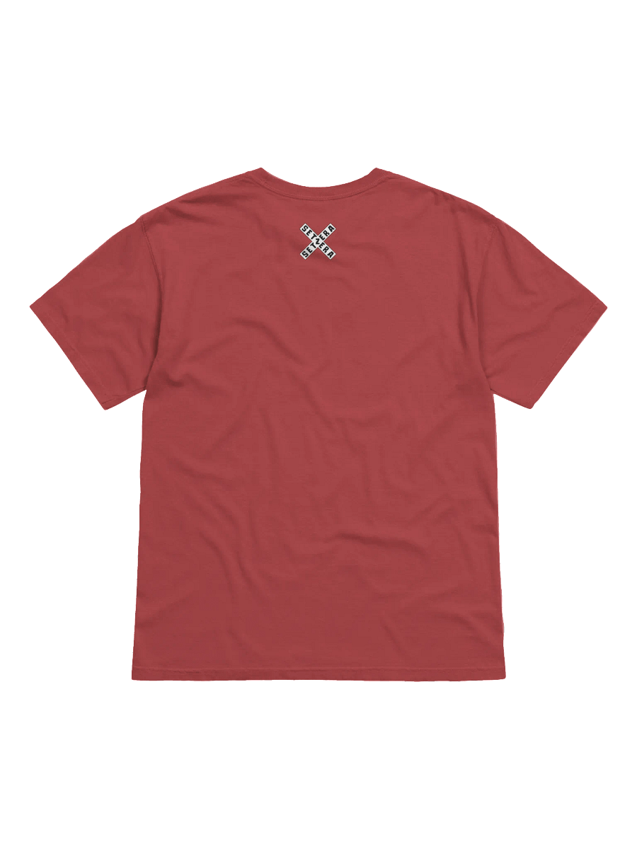 Singular Steam Traincell T-Shirt (14 Colors) product image (6)