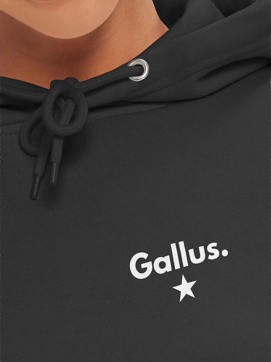 Gallus Hoodies product image (7)
