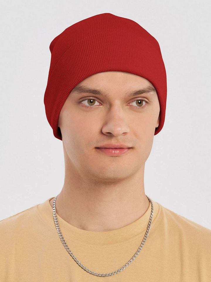 Plain Color Red Knit Cuffed Beanie Hat product image (1)