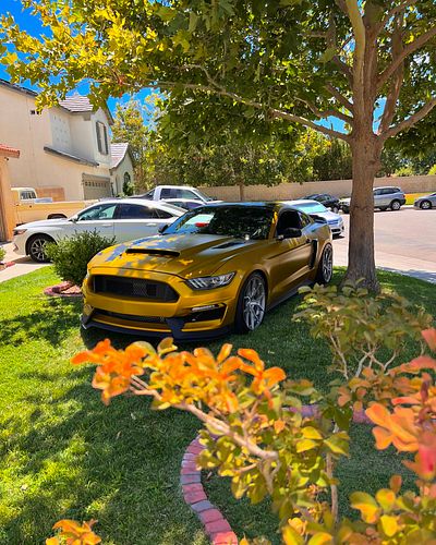 Here’s a little photo shoot in my front yard 😌 
.
.
.
.
.
.
#ford #s550 #turbo #carlovers #carporn #cargram #cars #wrap #v6 #...