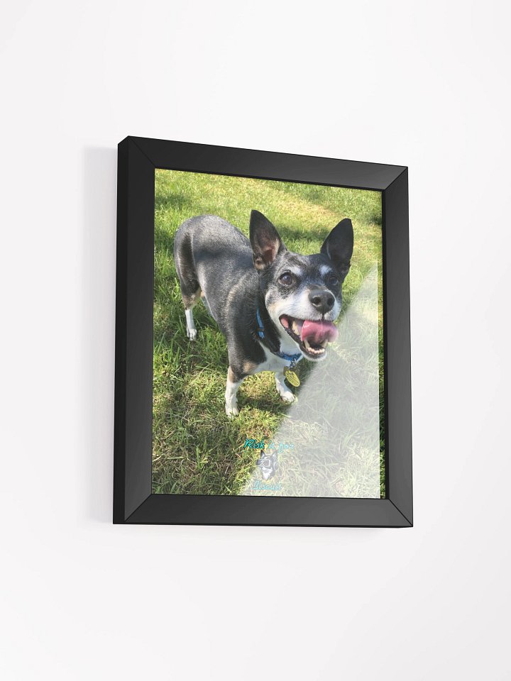 Crew Chief Biscuit - Ready for the summer season! product image (5)