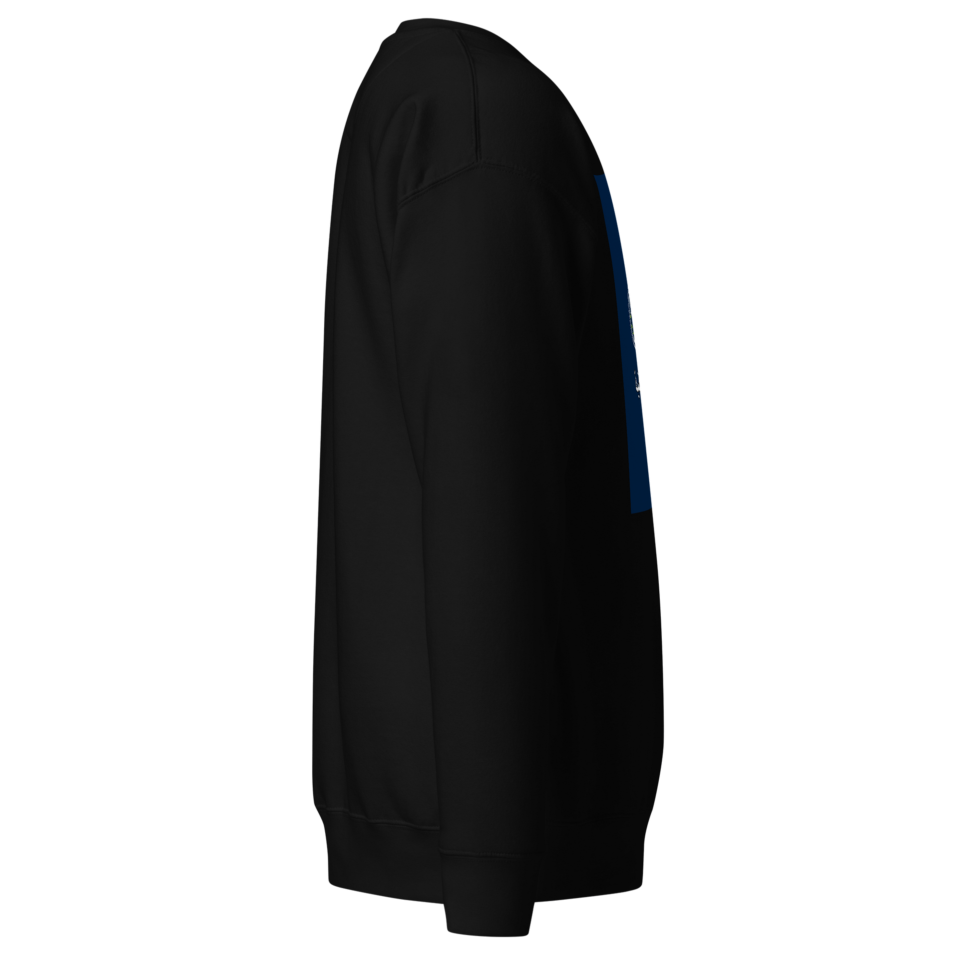 Star Kicker Premium Sweatshirt product image (3)