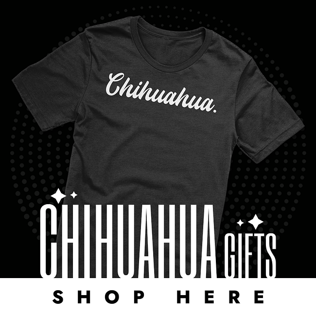CHIHUAHUA DOG