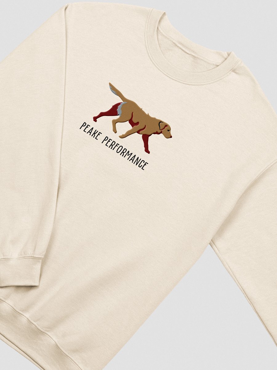 Peake Performance Sweatshirt (Embroidered) of a Chesapeake Bay Retriever(Tan) product image (18)