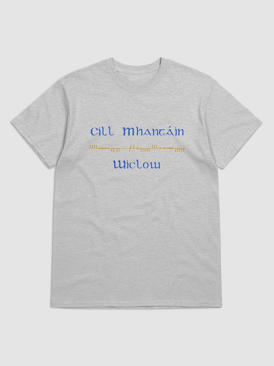 Wicklow/Cill Mhantáin Scholastic style Ogham printed T-shirt product image (61)