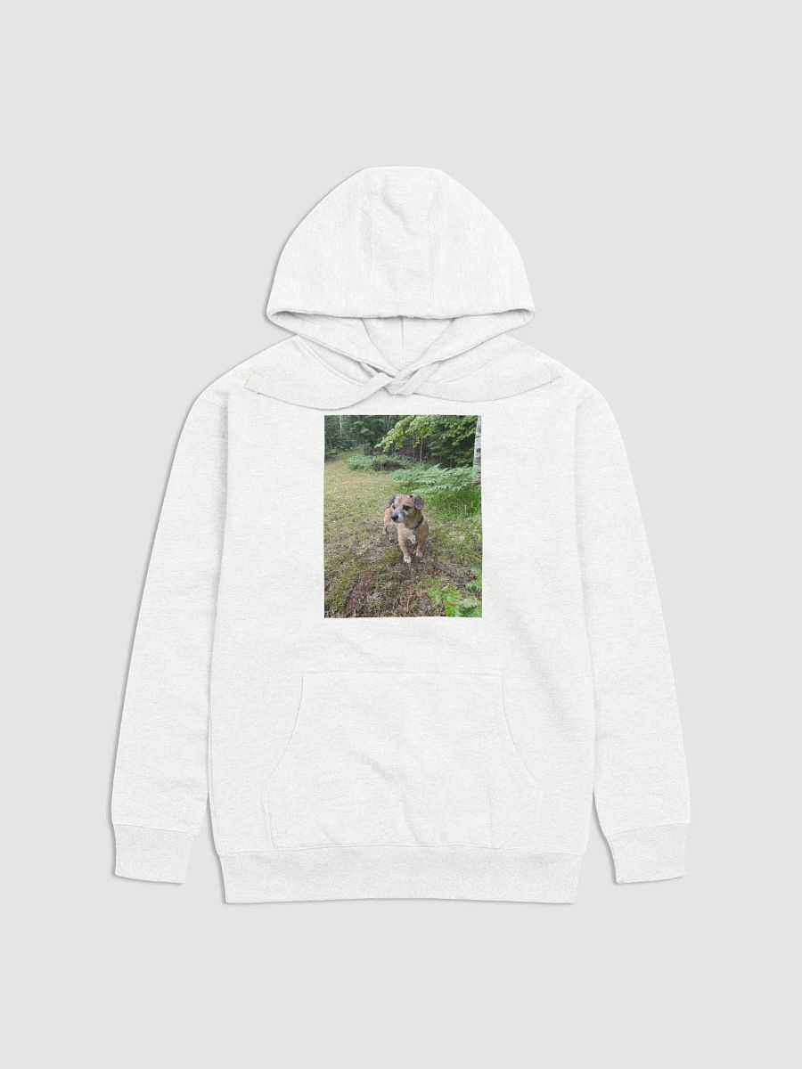 Rocky Hoodie product image (3)