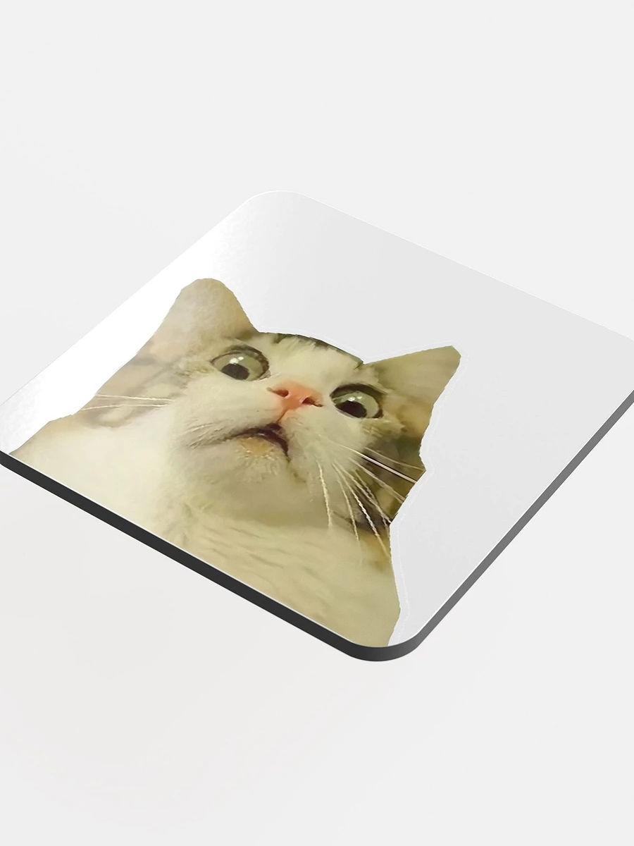 Glossed Cork Coaster: Meme Cats product image (4)