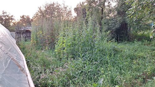 Beautiful Garden
#funtime3freddy3 #funtime3freddy3records #beautiful #garden