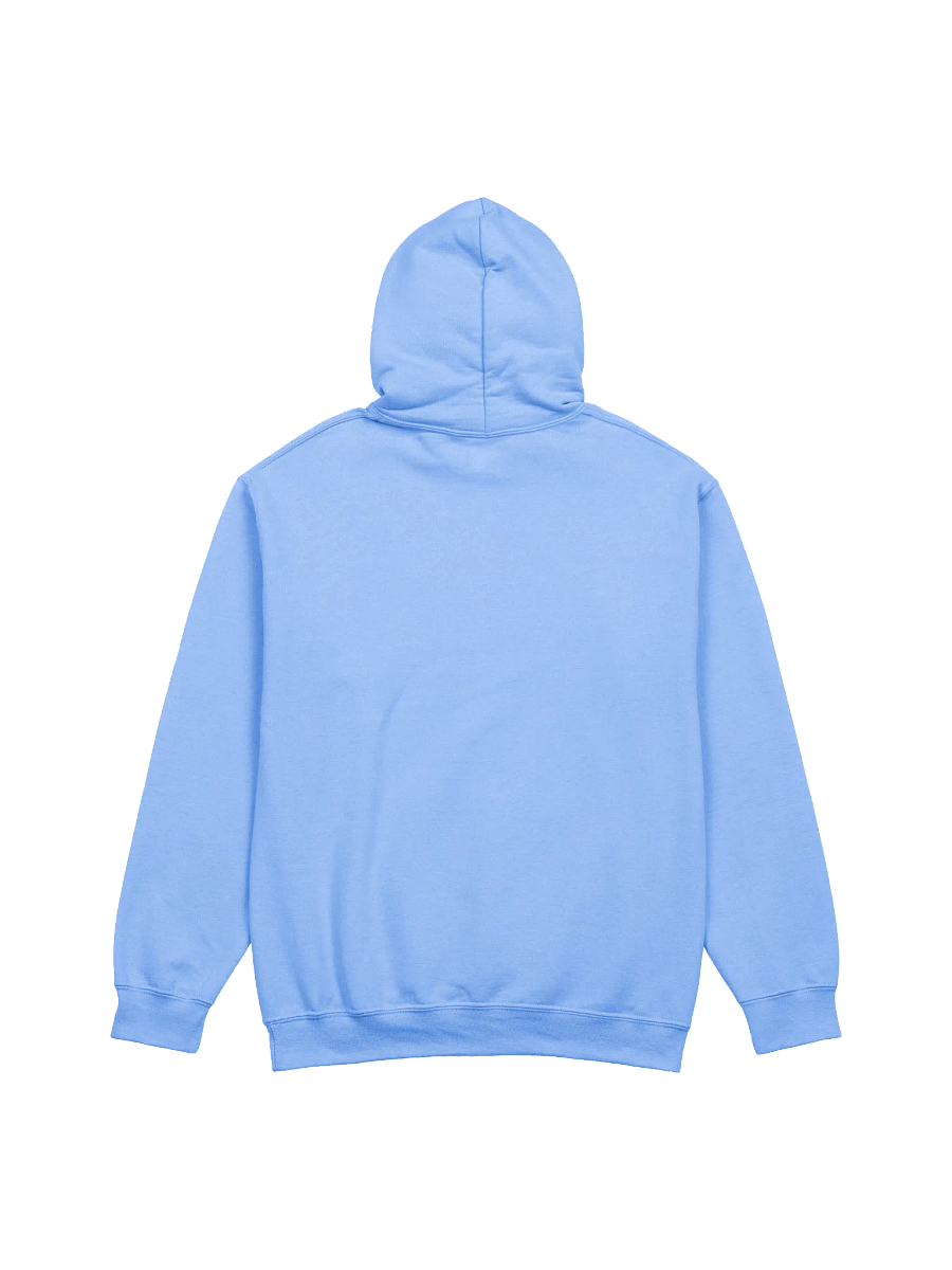BLT Gamers Level Up Hoodie product image (8)