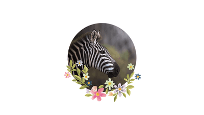 ZEBRA 01 - Access all locked posts