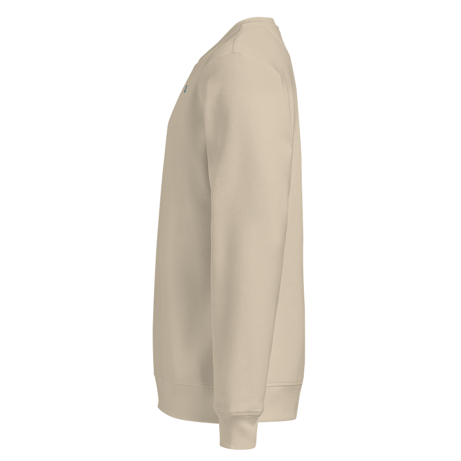 CS SweatShirt product image (3)