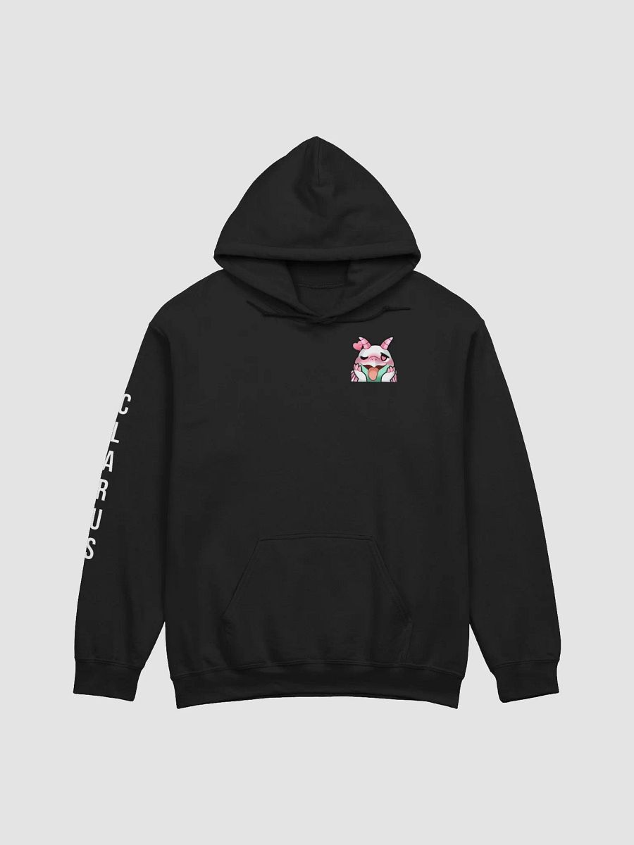 Polaris Hoodie product image (4)