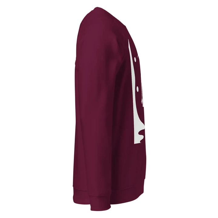 SOL'S Unisex Organic Raglan Sweatshirt product image (2)
