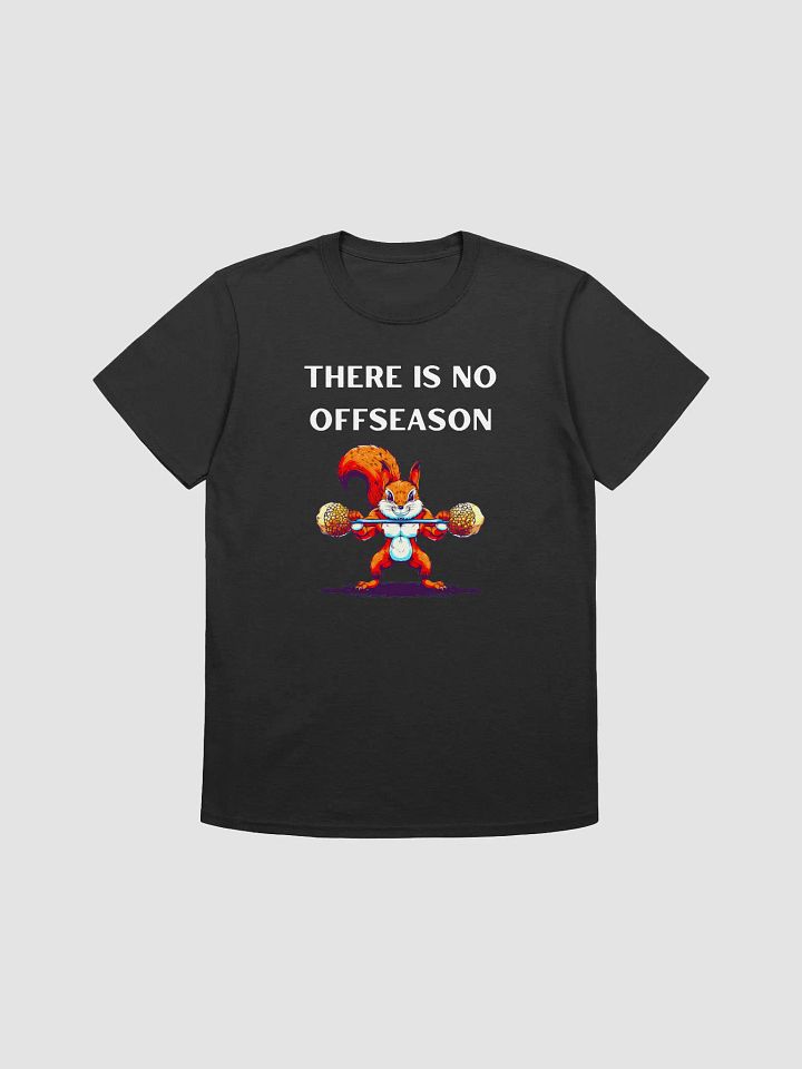 T24003 There Is No Offseason product image (1)