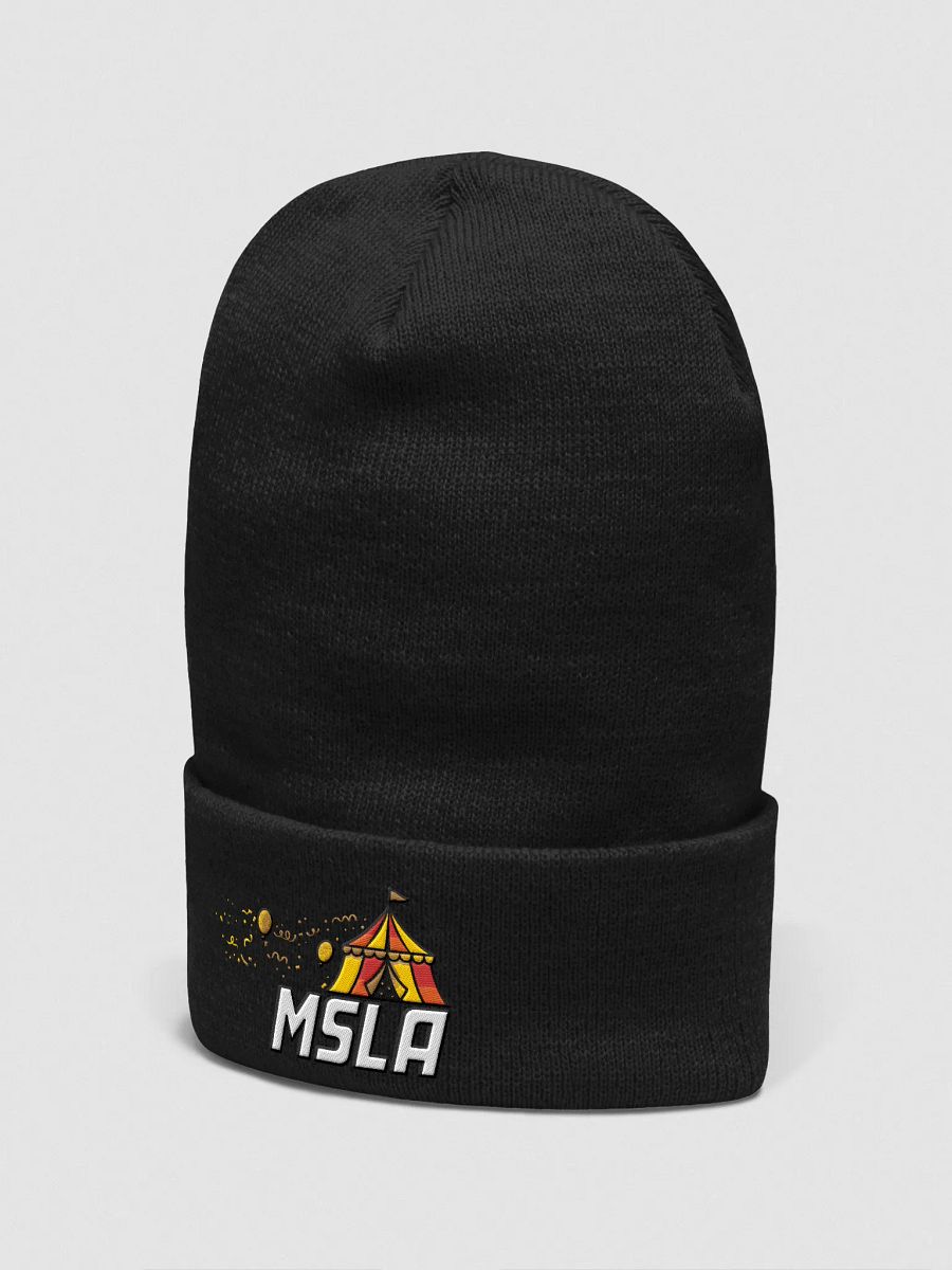 The Festival - Beanie product image (3)