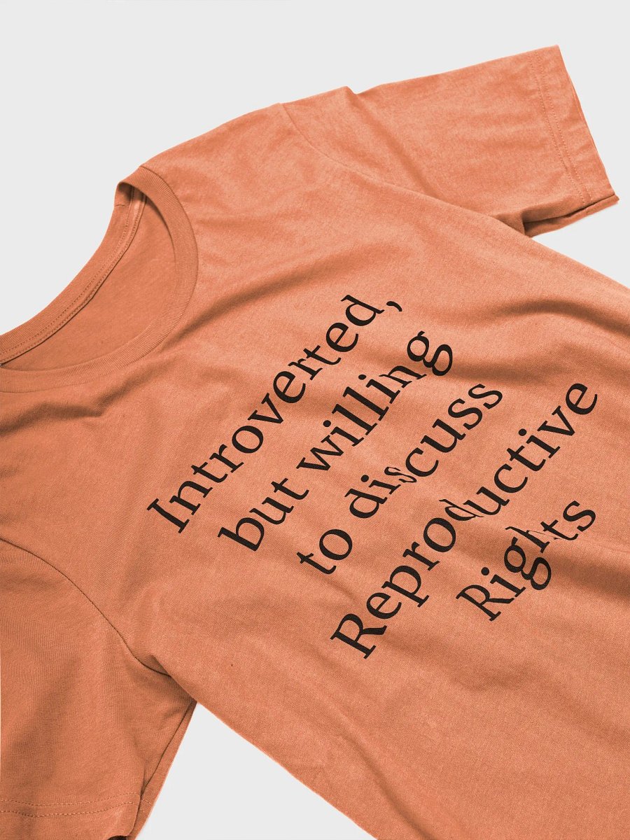 T-Shirt: Reproductive Rights product image (3)