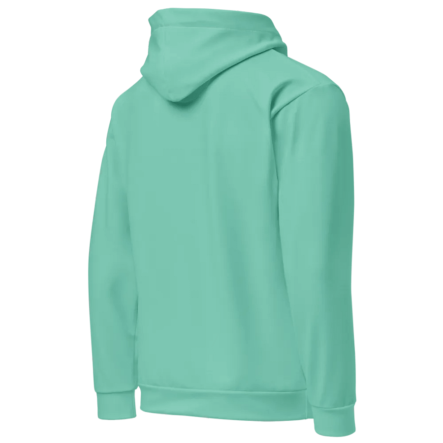Plain Light Pastel Green Light Summer Unisex Recycled Polyester Heavyweight Premium Hoodie by Treasure Pie product image (4)