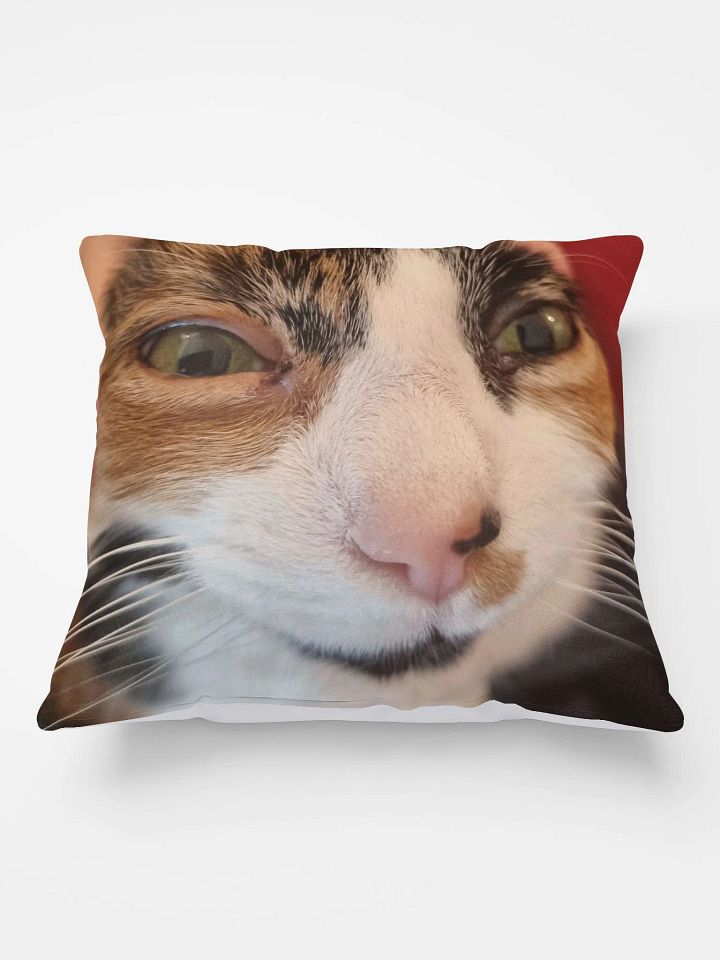 Rosie Looking Like A Stupid Fucking Idiot Pillow product image (1)