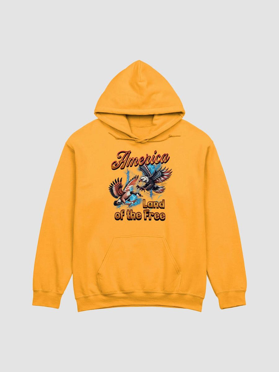 America Land Of The Free Freedom Flight Eagle Hoodie product image (5)