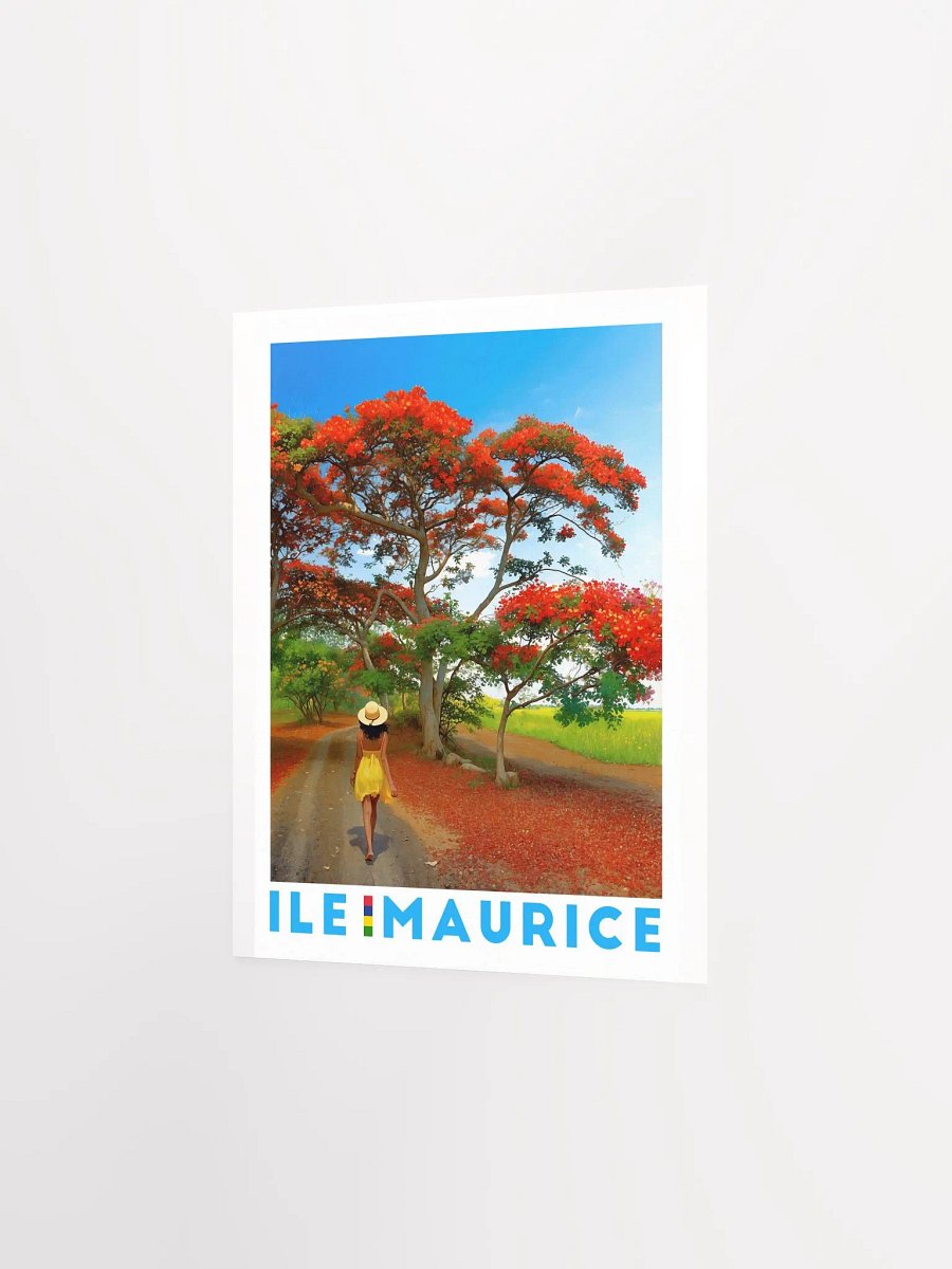 National - Mauritius product image (4)