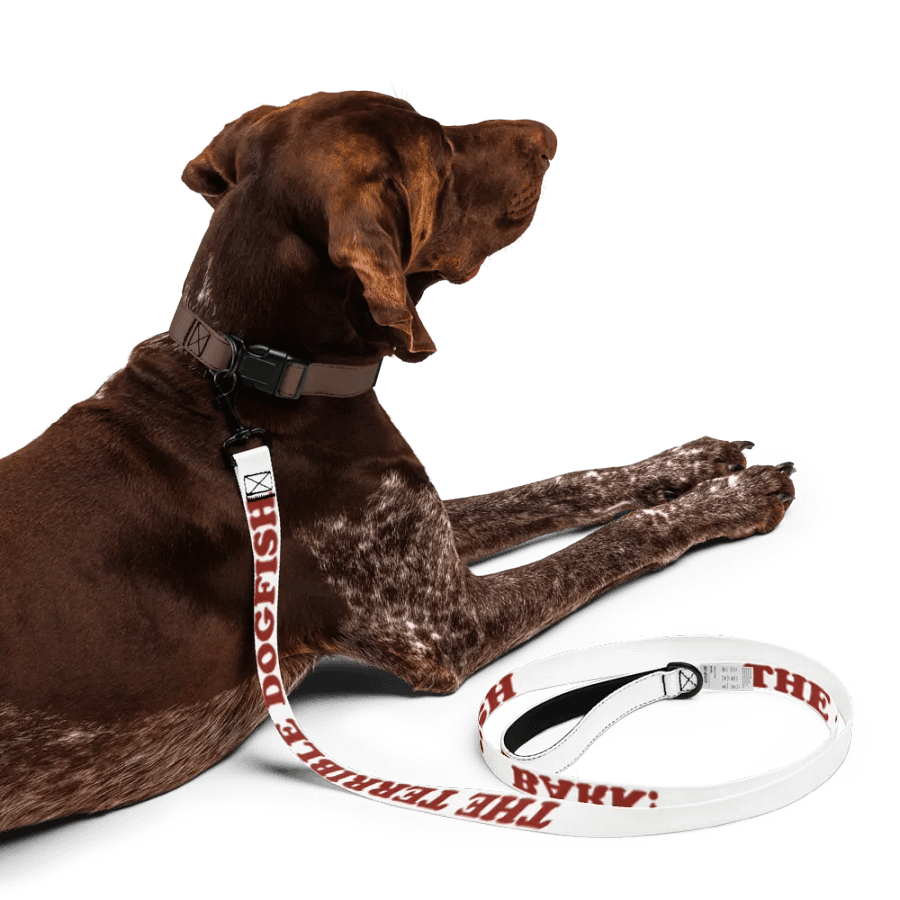 BARK leash product image (4)
