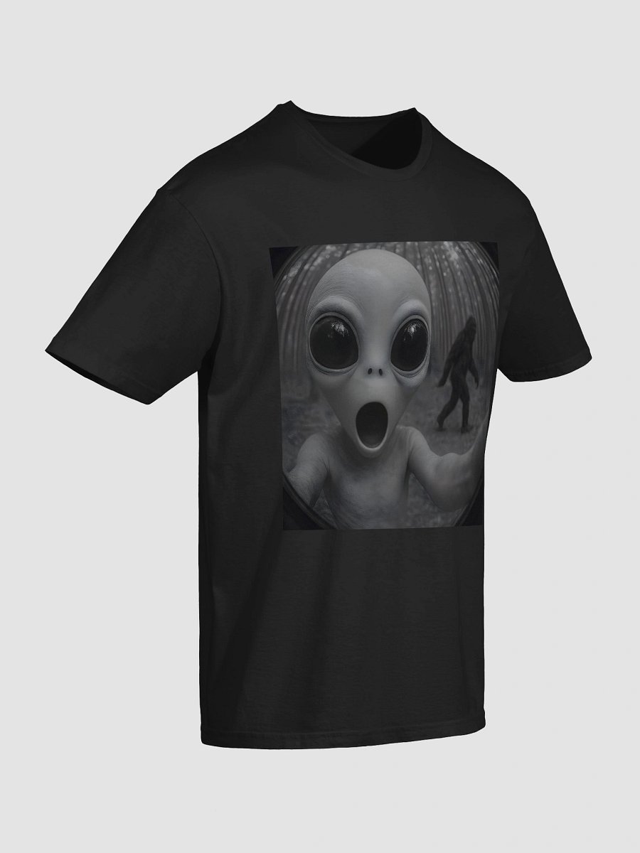 Proof at last! product image (6)