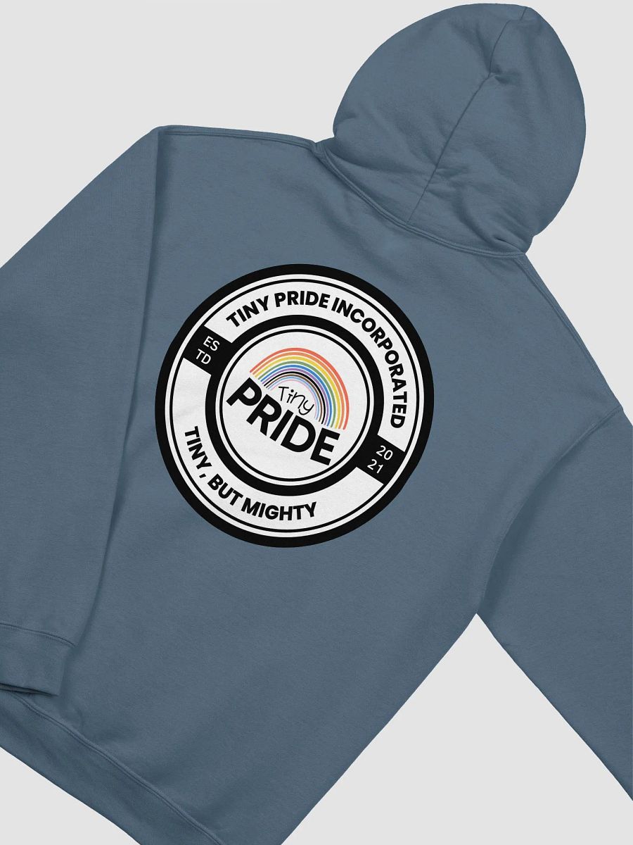 Tiny Pride Slate Hood product image (4)