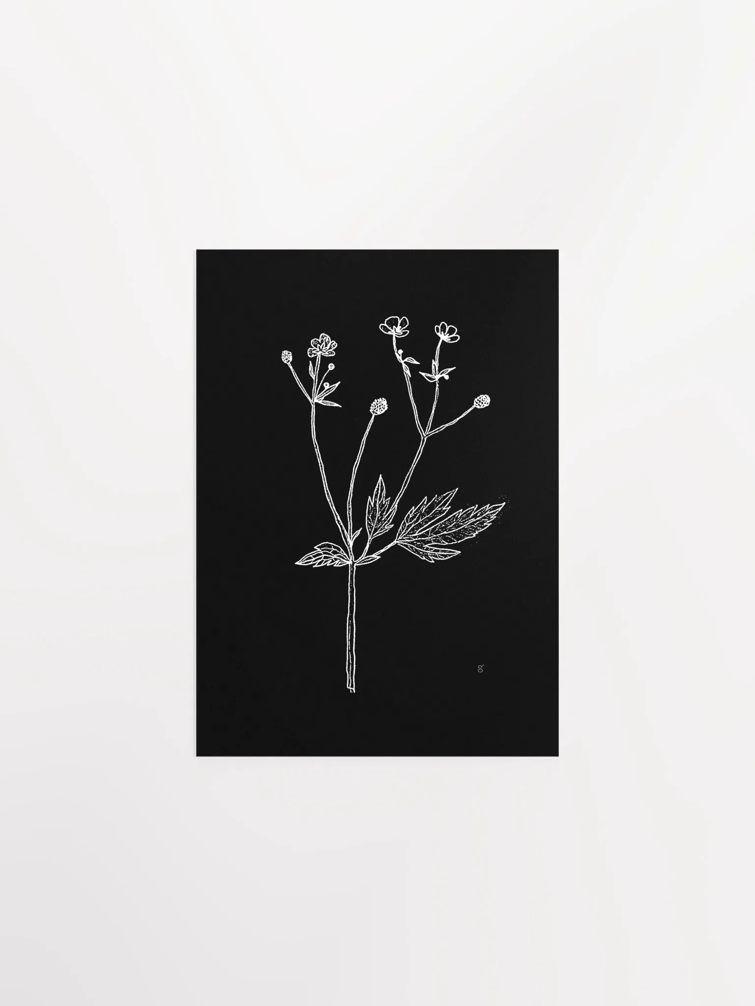 Botanical Bliss Matte Poster - Wild Flowers Dark Stylish product image (1)