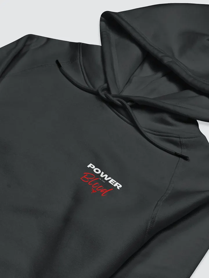 Power In the Blood | Organic Cotton | Hoodie Male product image (1)