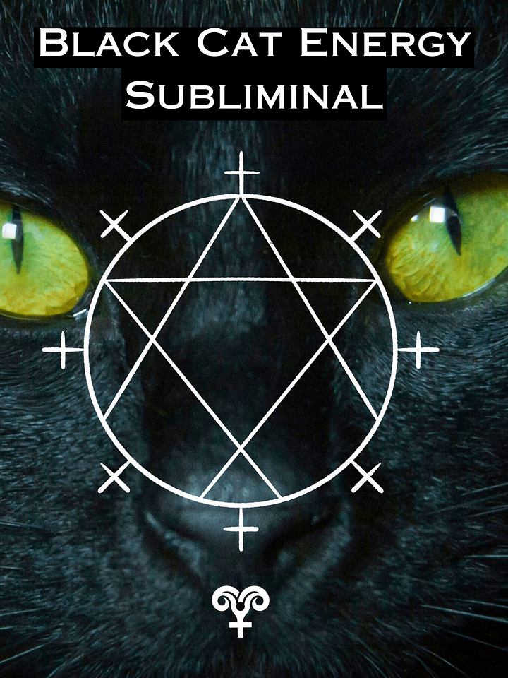 BLACK CAT ENERGY Subliminal - You Don't Chase, You Attract! Sub for Manifesting Whatever You Want Effortlessly! Plus 528hz product image (1)