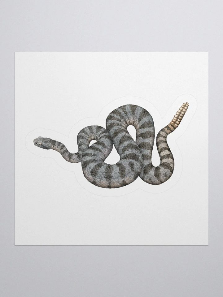 Die-Cut Sticker – Tiger Rattlesnake product image (1)