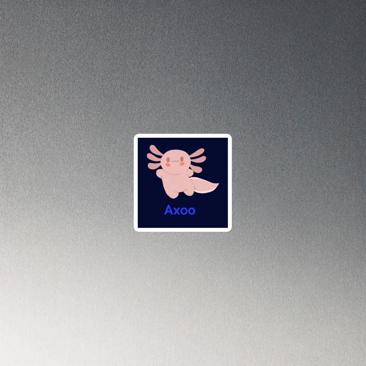 aimant AXOO product image (4)