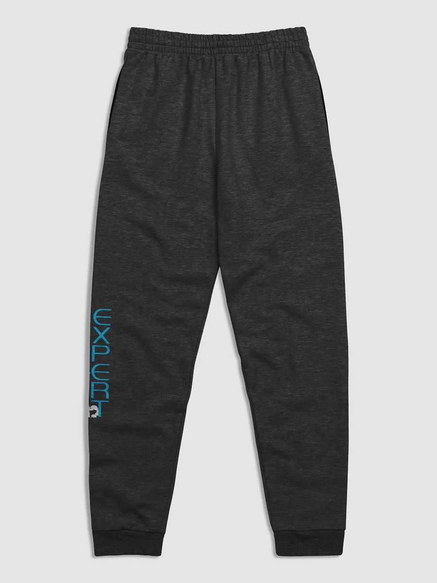 YOU ARE SPACE EXPERT - Jerzees Unisex Joggers product image (6)