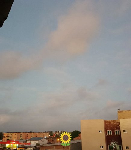 Bom dia, Domingo! 🌞🌻

Horário das fotos: 4h40

#bomdia #bomdia🌞 #amanhecer #domingo #diadesol #sunday #girassol #seguidoresdosol