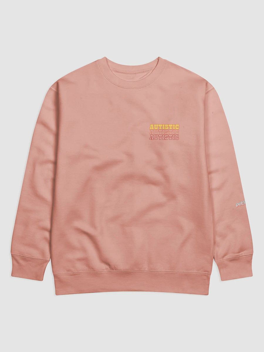 AUTISTIC CAT sweatshirt product image (17)