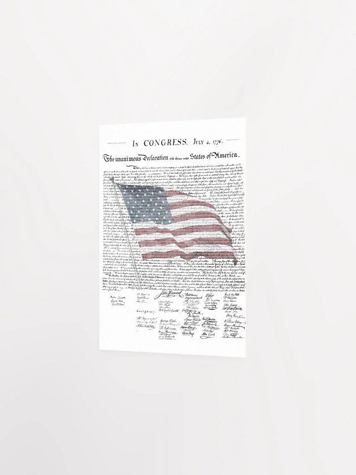 PATRIOTIC PRINT product image (11)