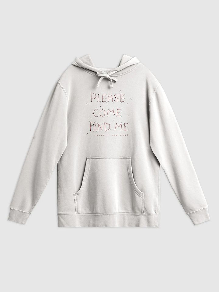 come find me hoodie product image (1)