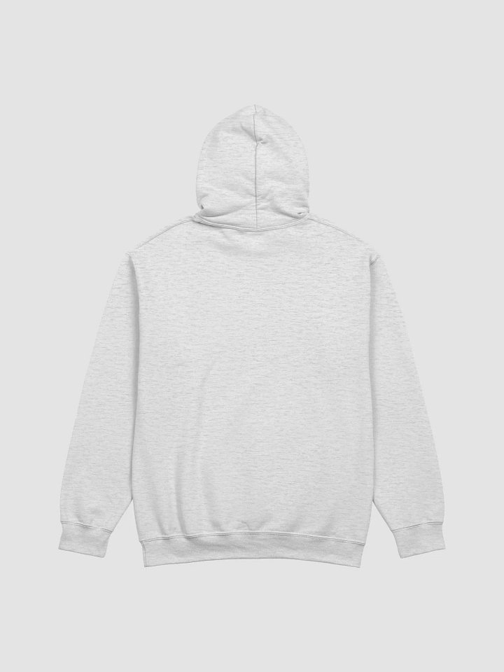 OSA Agent Undercover Hoodie (Limited 2) product image (11)