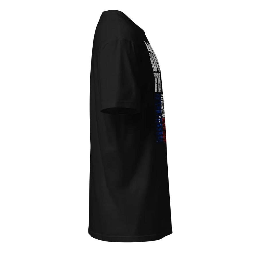 Build The Wall: Texas product image (3)