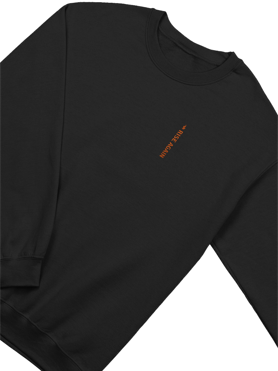 Double Logo Sweatshirt product image (5)