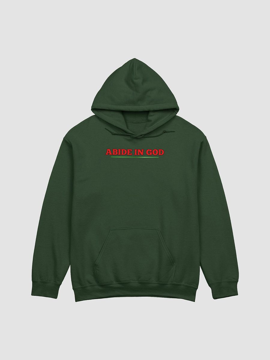 Abide in GOD product image (1)
